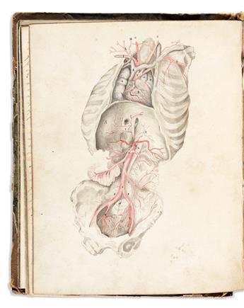 [Medicine & Science] Physicians Illustrated Notebook. England, circa 1844.